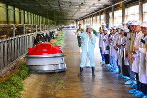 ‘Mở khóa tự nhiên’: Vinamilk biến rào cản thành vòng tuần hoàn xanh tại trang trại sinh thái