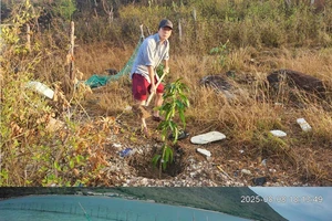 Độc đáo mô hình nuôi trồng tại Hòn Đụn, vịnh Vân Phong