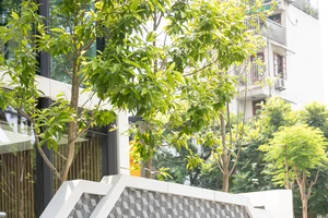 Techcombank – Nghệ thuật chuyển đổi là xây dựng một ngân hàng không ngừng đổi mới!