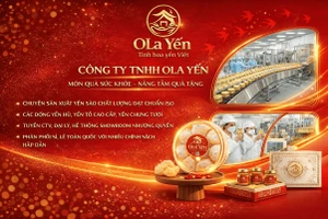 Địa chỉ mua Yến sào tại Hải Phòng chất lượng, uy tín?