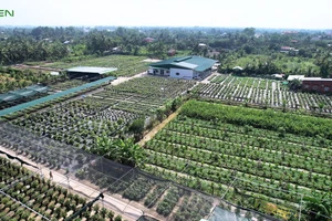 ViGen: Trung tâm nghiên cứu và sản xuất cây giống công nghệ cao trọng điểm