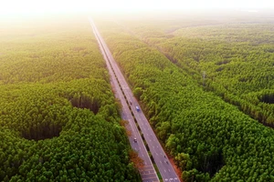 Vịnh Ngọc - Tâm điểm sống ESG++ bên cung đường chạy có 1-0-2 trên thế giới