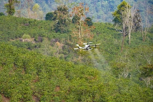FPT thử nghiệm UAV tại Điện Biên, mở hướng ứng dụng công nghệ chiến lược trong nông nghiệp vùng cao
