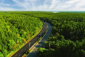 Vinhomes Green Paradise hút người cao tuổi nhờ không khí trong lành, nhiều tiện ích chăm sóc sức khoẻ