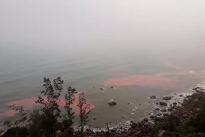 Đã lấy mẫu nước màu đỏ ở bờ biển Huế đi xét nghiệm