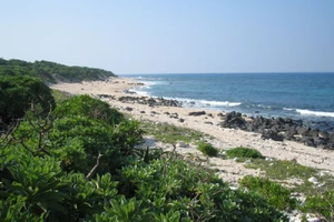 Đi tàu cao tốc miễn phí ra đảo Cồn Cỏ 