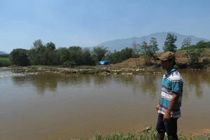 Tiêu hủy 6.500 con vịt dương tính với cúm A/H5N6