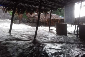 Nước suối Voi đột ngột dâng cao, du khách bỏ chạy