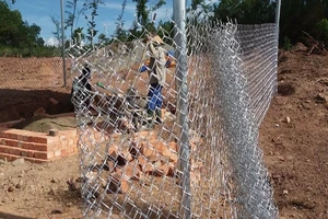 Dòng tộc kiến nghị xây lại mộ vợ vua Tự Đức ở chỗ cũ