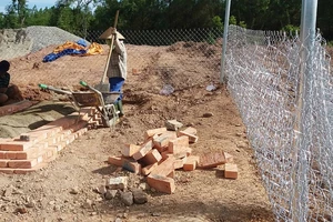 Vụ mộ vợ vua bị san: Yêu cầu khởi tố tội xâm phạm mồ mả