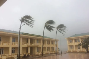 Bão số 4 đổ bộ vào Quảng Bình, Quảng Trị