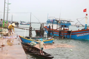 Miền Trung: Tàu vào bờ, dân đốn cây đón bão số 10