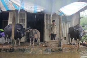 Về vùng bị chia cắt do lũ ở Thừa Thiên - Huế