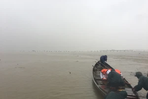 Lũ trên sông Hương đang lên trở lại