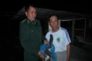 Rùa biển 10 kg mắc lưới được thả về đại dương trong đêm