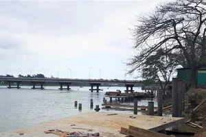 Lát gỗ lim đường ven sông Hương, ban quản lý nói gì?