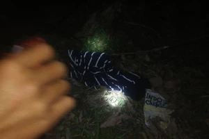 Bé gái 11 tuổi mất tích bí ẩn khi đi chăn trâu