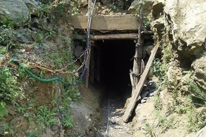 Giải cứu 11 phu vàng bị đánh đập, bóc lột 