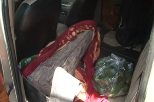 Phát hiện lượng lớn gỗ lim, gỗ trắc không rõ nguồn gốc