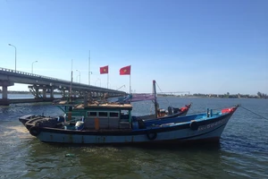 Phạt 2 tàu giã cào khai thác ở vùng biển Chân Mây-Lăng Cô