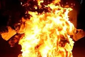 Ảnh minh họa. Internet