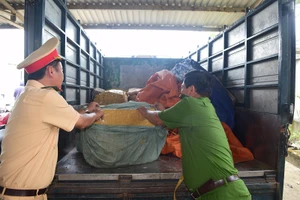  840 kg sụn gà không nguồn gốc suýt nữa lên bàn ăn