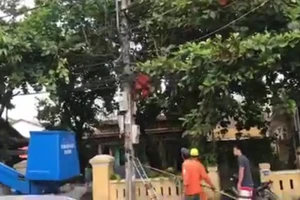 Điện lực Huế thông tin việc công nhân tử vong khi sửa điện