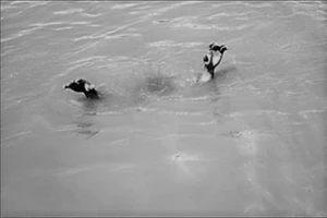 Ảnh minh họa internet.