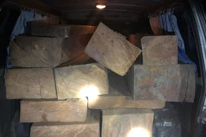 Tài xế không bằng lái chở gần 2 m3 gỗ không rõ nguồn gốc