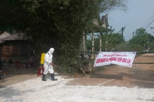 Thừa Thiên - Huế phát hiện thêm điểm dịch tả heo châu Phi