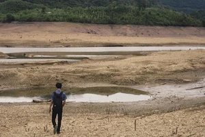 Nguy cơ mất mùa vì hạn hán ở miền Trung