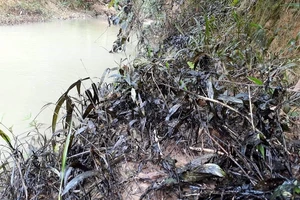 Phát hiện dầu thải bị đổ xuống đầu nguồn sông Hiếu