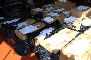 Hai cha con giấu gần 1 tấn pháo