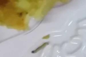 Nhà trường phản bác thông tin có dòi trong thịt gà