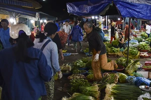 Người dân chen chân trong chợ đầu mối lúc nửa đêm