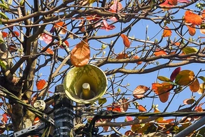 Ảnh minh họa: NGUYỄN DO