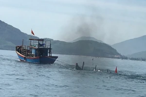 Phương tiện bị chìm được kéo vào bờ. Ảnh: N.BÌNH