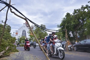 Thành phố Huế ngổn ngang cây đổ sau khi bão quét qua