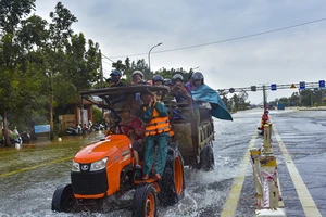 Nước ngập sâu, máy cày kiếm tiền triệu trên Quốc lộ 1