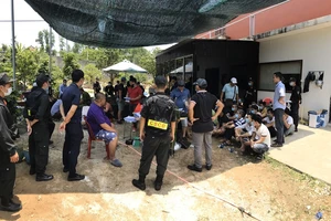 Đột kích trường gà, bắt quả tang 47 người tham gia đánh bạc