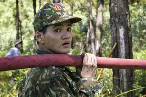 Cháy dữ dội ở Huế: Hơn 1.000 người cứu rừng giữa biển lửa