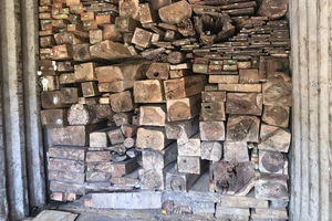 Đoàn xe chở gỗ lậu, đá quý trị giá hơn 29 tỉ đồng 