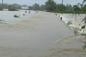 Lũ chia cắt nhiều nơi ở Quảng Bình, lên phương án di dời dân