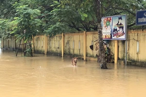 Nhiều nơi ở TP Đông Hà ngập sâu, di tản học sinh
