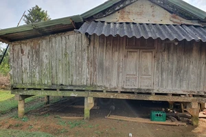 Người đàn ông nằm gục bên đường với vết thương trên đầu