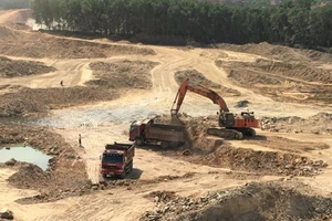 Một công ty ở Thừa Thiên - Huế bị phạt vì chiếm đất rừng