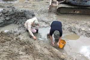 Quả bom nặng hơn 2 tạ nằm gần chợ Đồng Hới