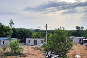 Quảng Trị: Dân rủ nhau xây nhà chờ dự án cao tốc đền bù