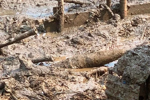 Phát hiện 2 quả đạn 105 mm khi làm bờ kè ở TP Huế