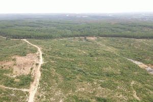 Quảng Trị sẽ thu hồi chủ trương đầu tư dự án 371 tỉ đồng